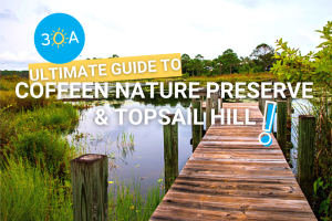 Coffeen Nature Preserve & Topsail Hill Preserve State Park