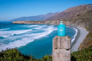 A Whale of a Journey with Gray Whale Gin