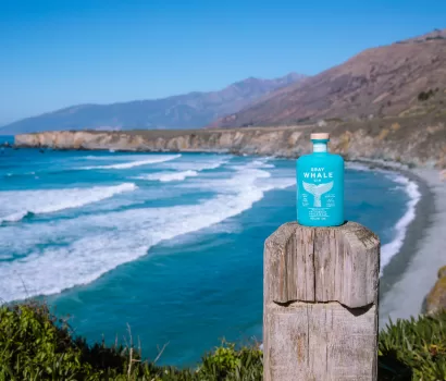 A Whale of a Journey with Gray Whale Gin