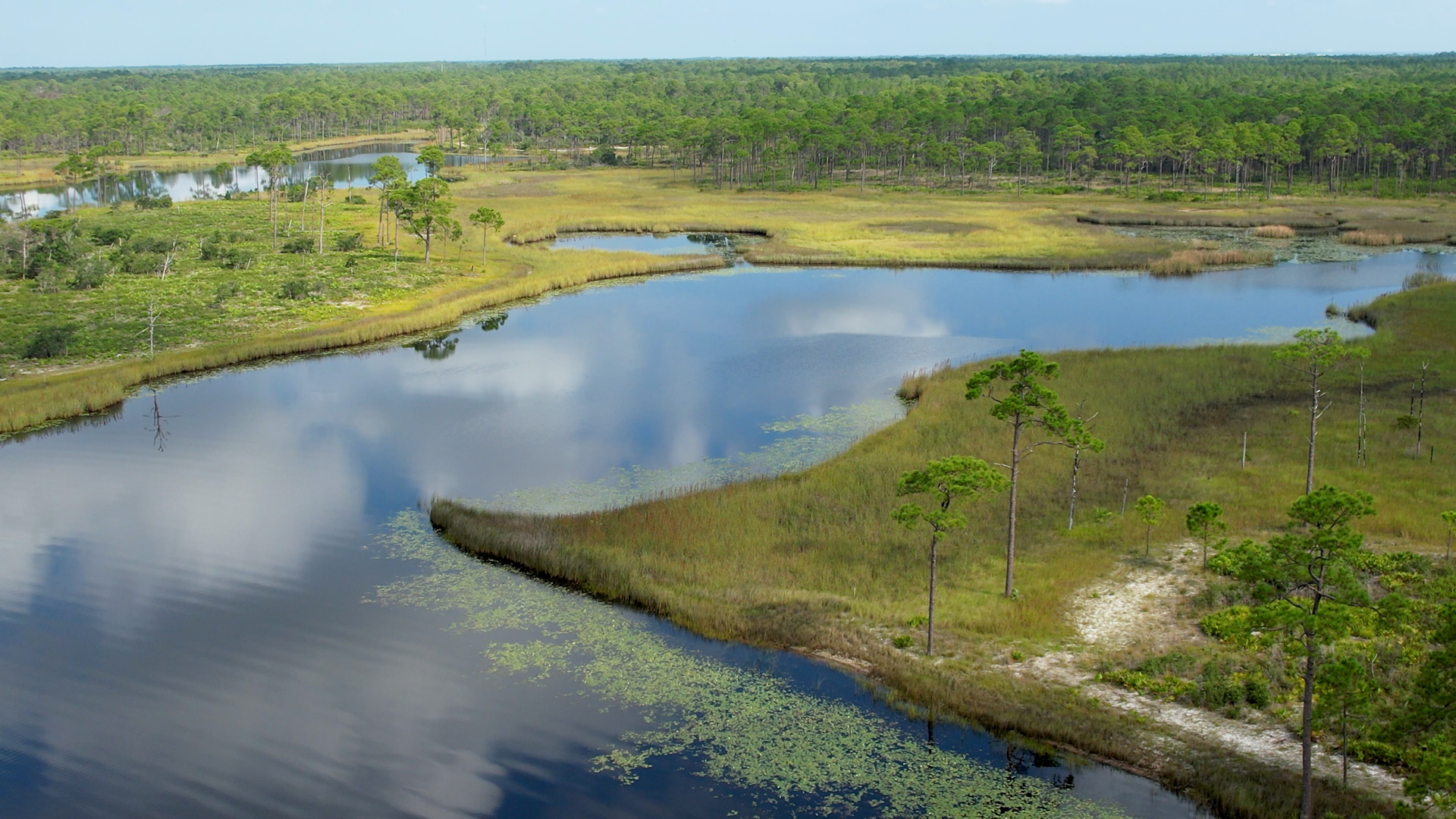 Eco-Tourism in Walton County at the Dune Lakes