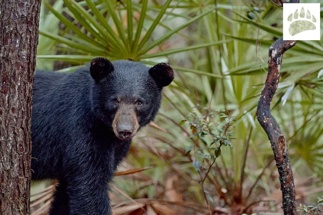 New Feature Film Celebrates Natural Wonders and Diversity of 30A