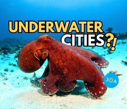 10 Astounding Facts About Octopuses – the Ocean’s Clever Chameleons