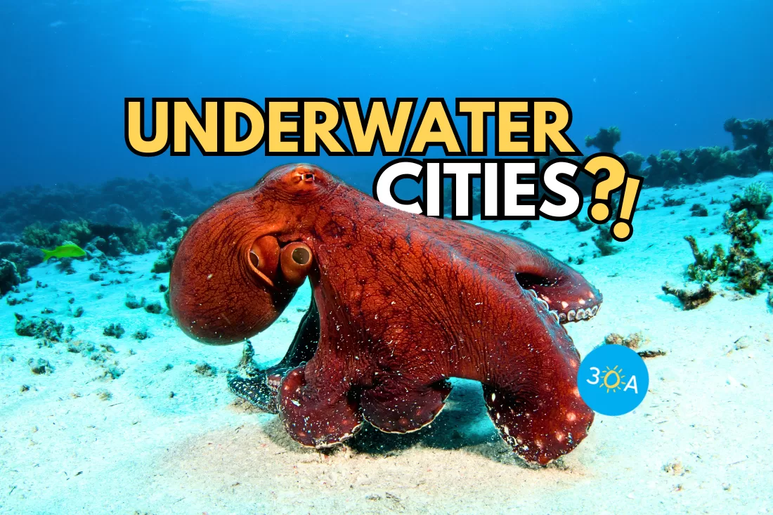 10 Astounding Facts About Octopuses – the Ocean’s Clever Chameleons