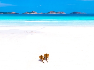Jaimen Images Print-4