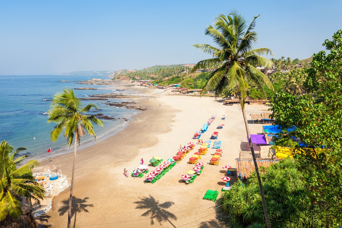 Indian partying hotspot Goa counts losses, braces for change