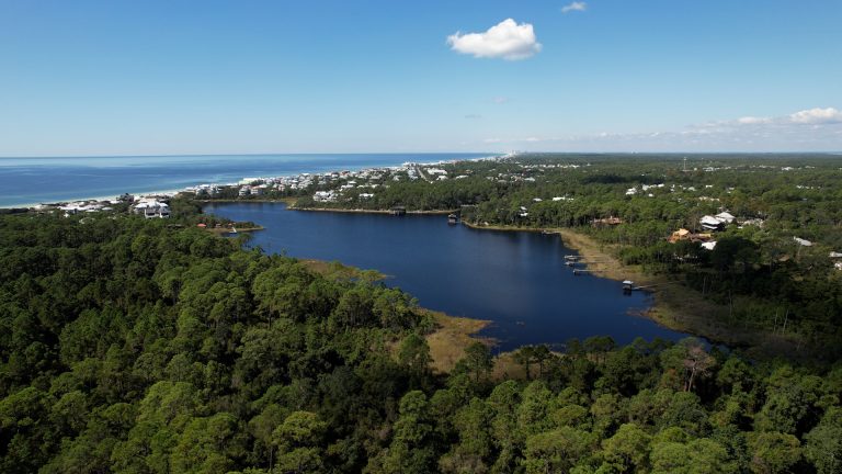 Draper Lake - Florida's Coastal dune Lakes