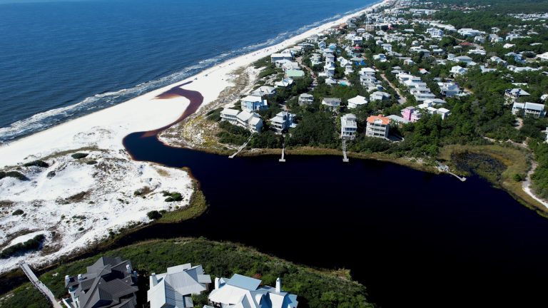 Draper Lake Outfall - Florida's Coastal dune Lakes
