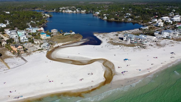 Eastern Lake - Florida's Coastal dune Lakes