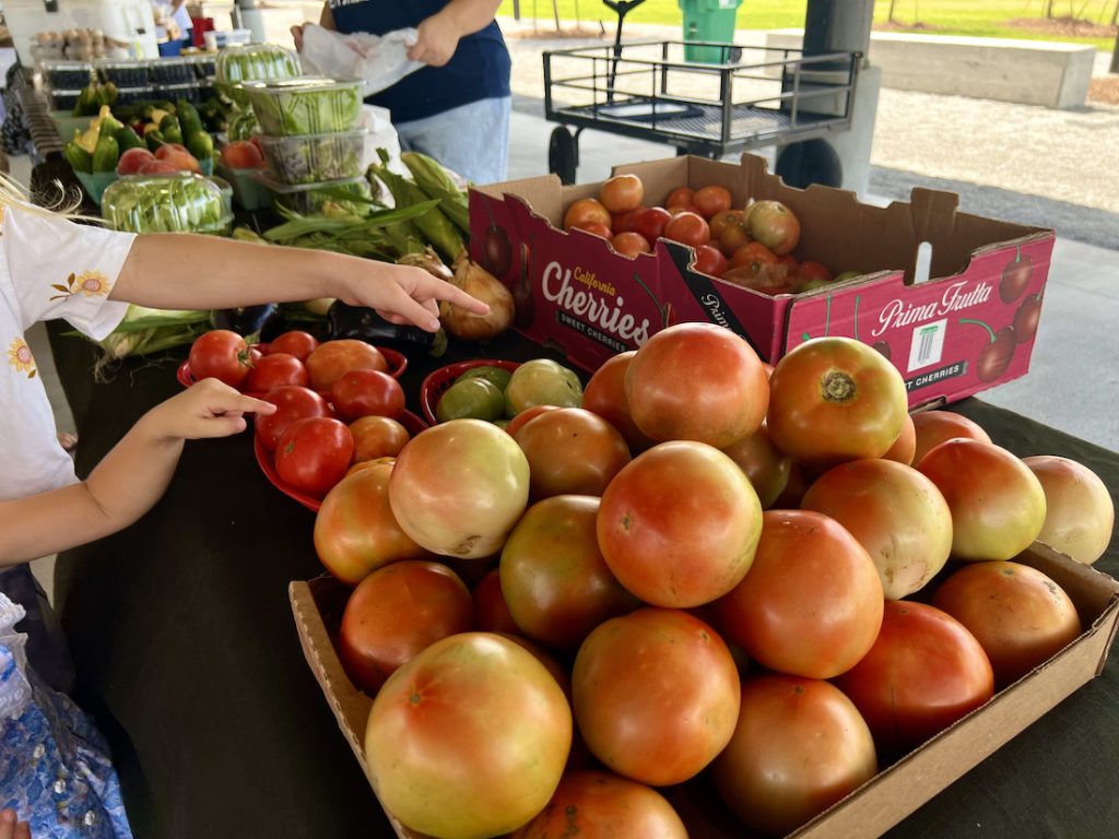 Fresh Fruits and Vegetables at the Watersound Farmers Market