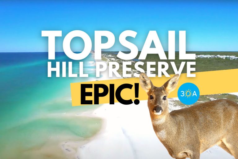 Topsail Hill Preserve State Park Review and Map - Camping, Hiking ...