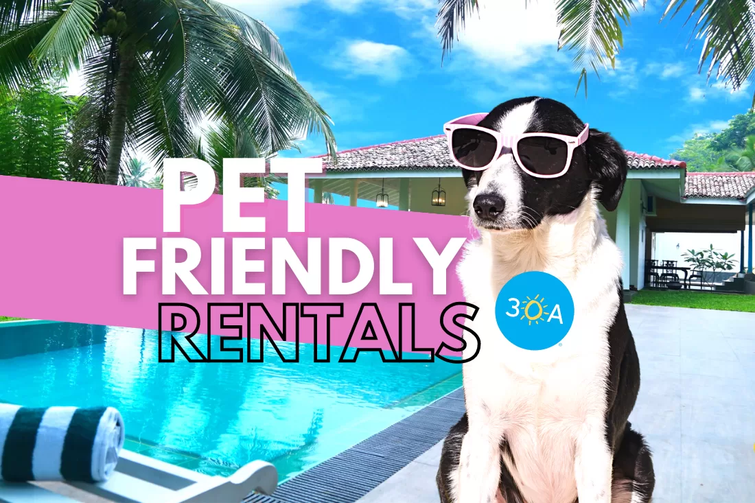 Pet-friendly Holiday Rental Homes Near 30A