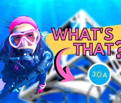 Dive into Art and Fun at the 5th Annual Under the Sea Fundraiser