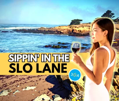 Exploring SLO’s Coastal Wine Country: A Journey Along Highway 1