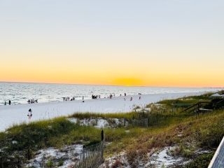 Dune Allen Beach Access (5)