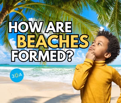 How Are Beaches Formed? Exploring Sand Colors and Global Diversity