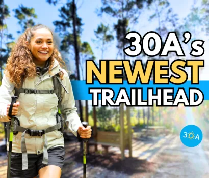 Discover 30A Trailhead: A Family-Friendly Adventure in Point Washington State Forest