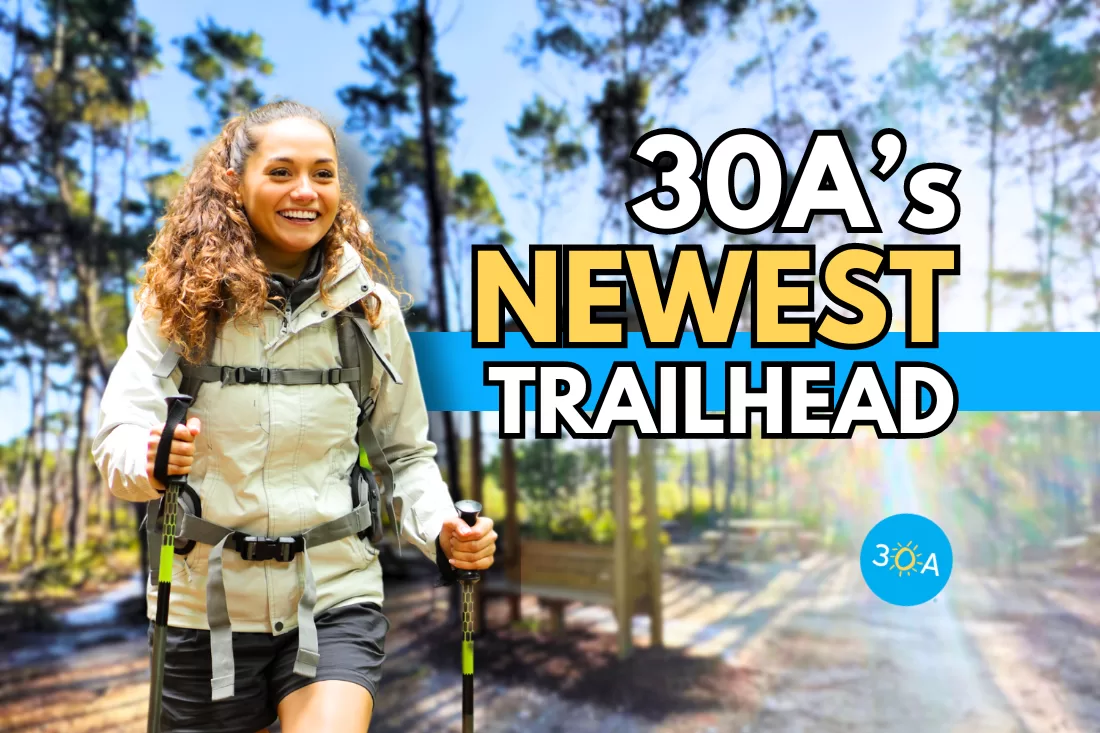 Discover 30A Trailhead: A Family-Friendly Adventure in Point Washington State Forest