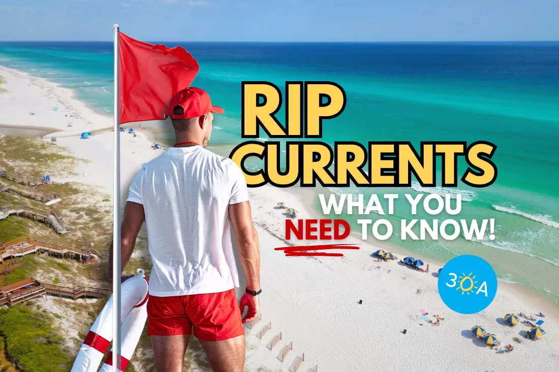 Navigating Rip Currents: Your Guide to Safe Swimming