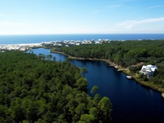 Alligator Lake