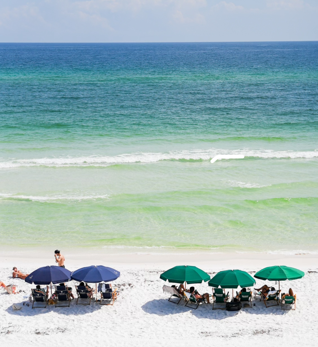 The Best Things To Do on 30A This Week – Nov 11-17