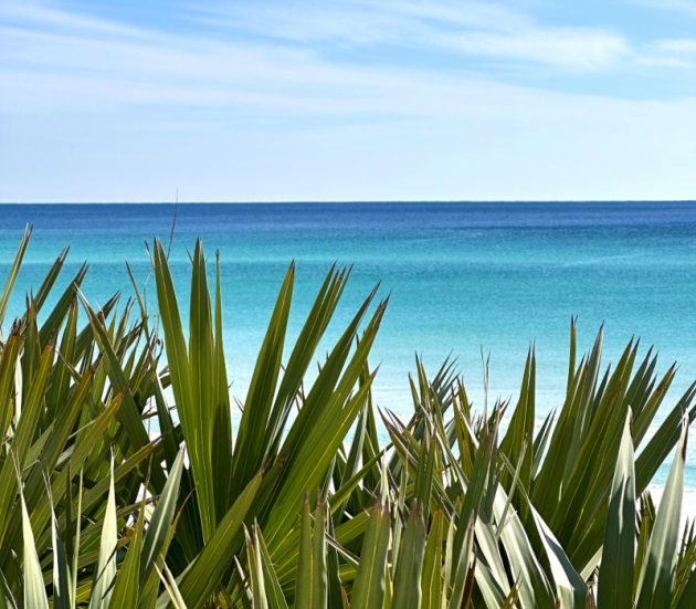 The Best Things to Do on 30A This Week – Aug 18-24