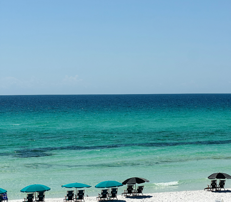 The Best Things to Do on 30A This Week – Feb 16-22