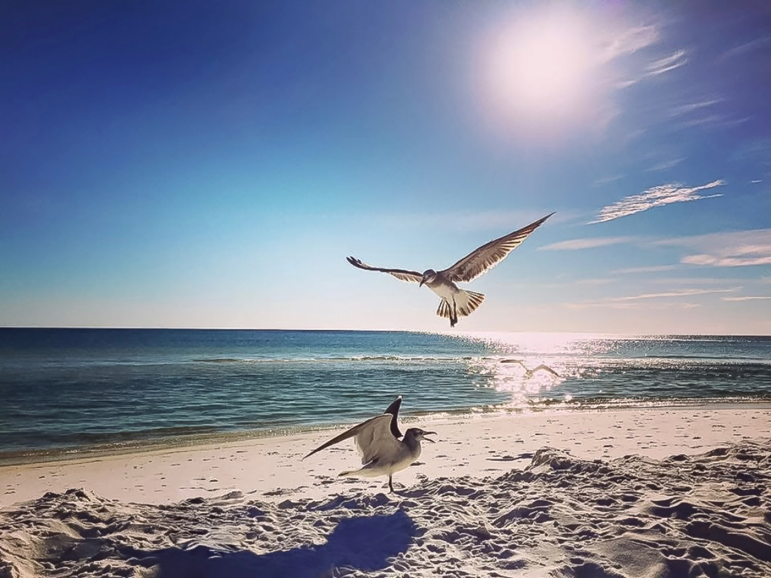 Quiet moment spent near the water on 30A